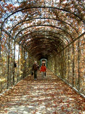   Schönbrunn