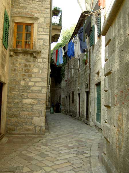 Kotor