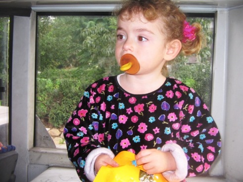 �� �� ������ ������ ��������