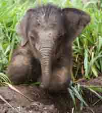 �� �� ��� ��� ���� �� ����