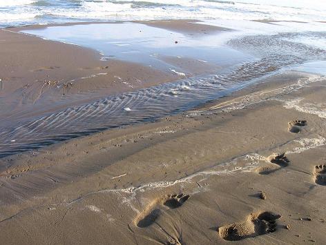 �� ����,�������,����.��� ���