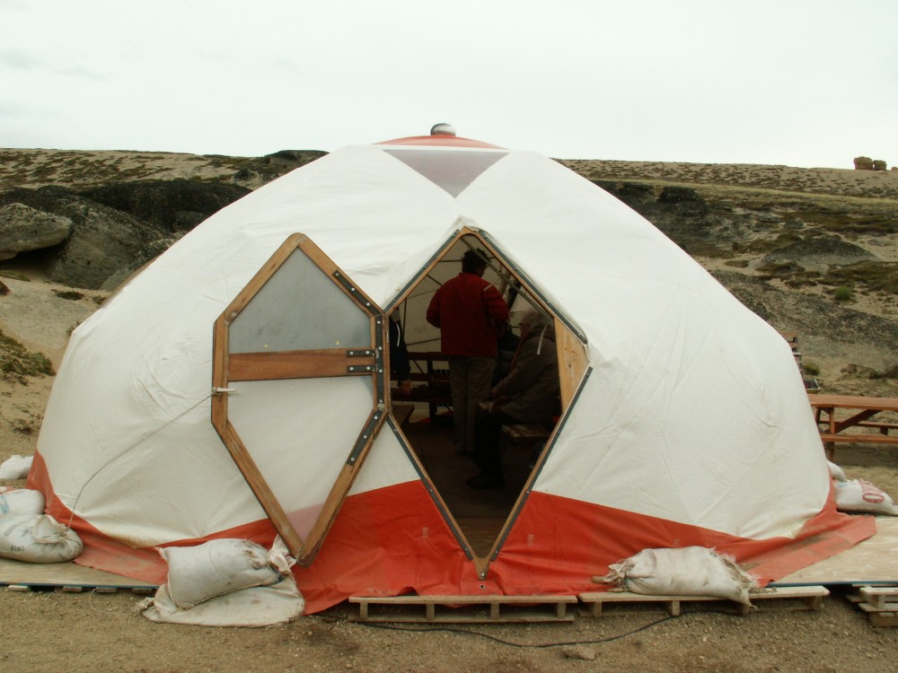 ���� ����� ����� ����