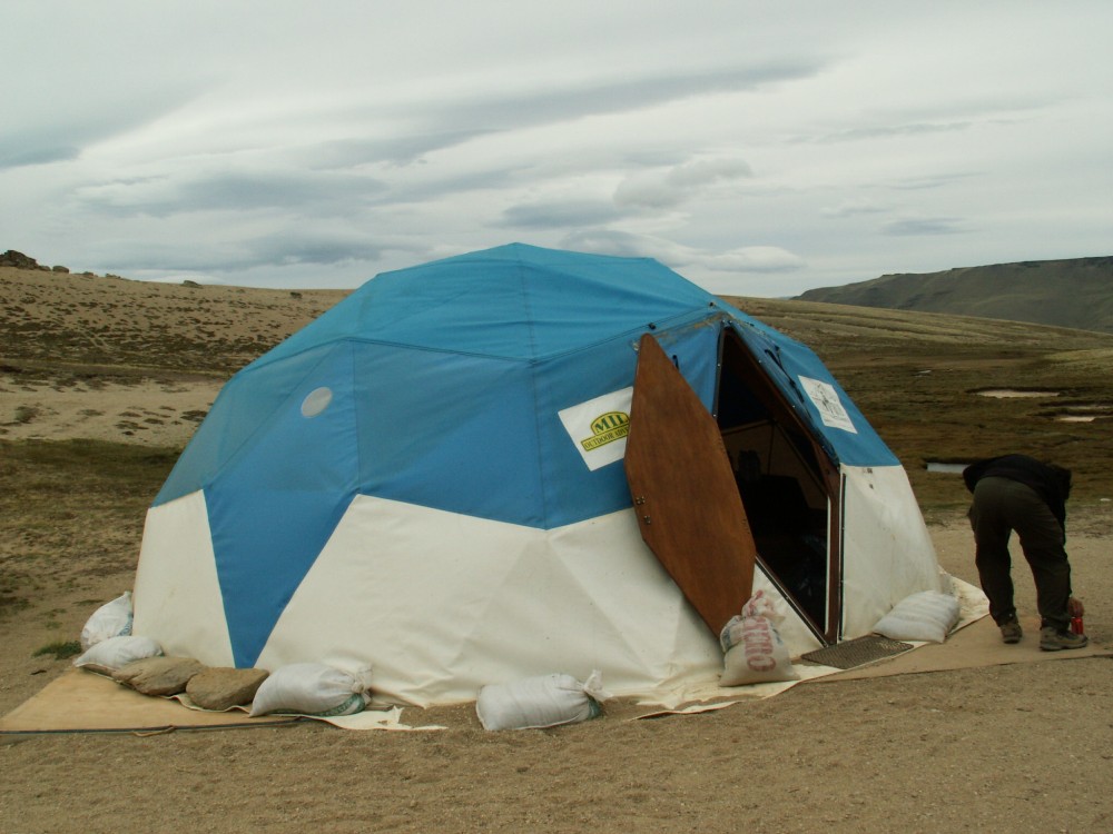 ���� ����� ����� ����