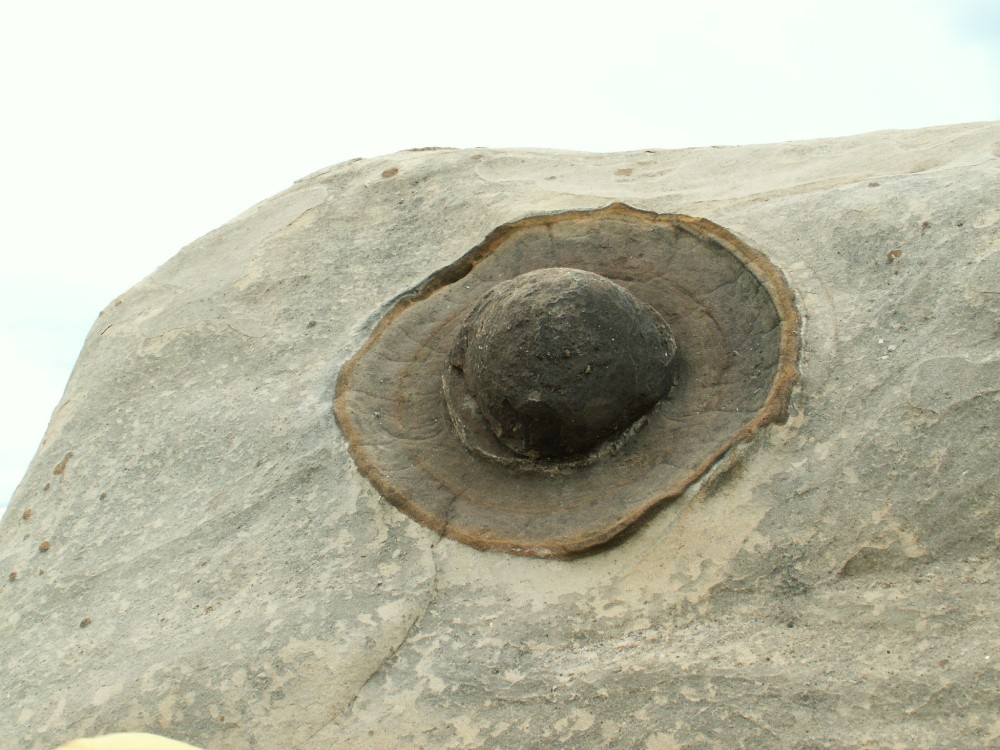 ��� ����� ���� ���. ���� ��� ����