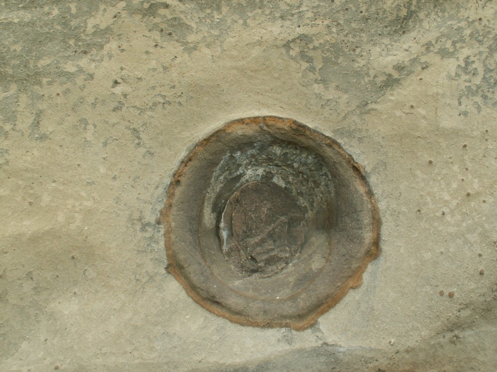 ��� ����� ����� ��� ���� ���� �� ����� ���� ����