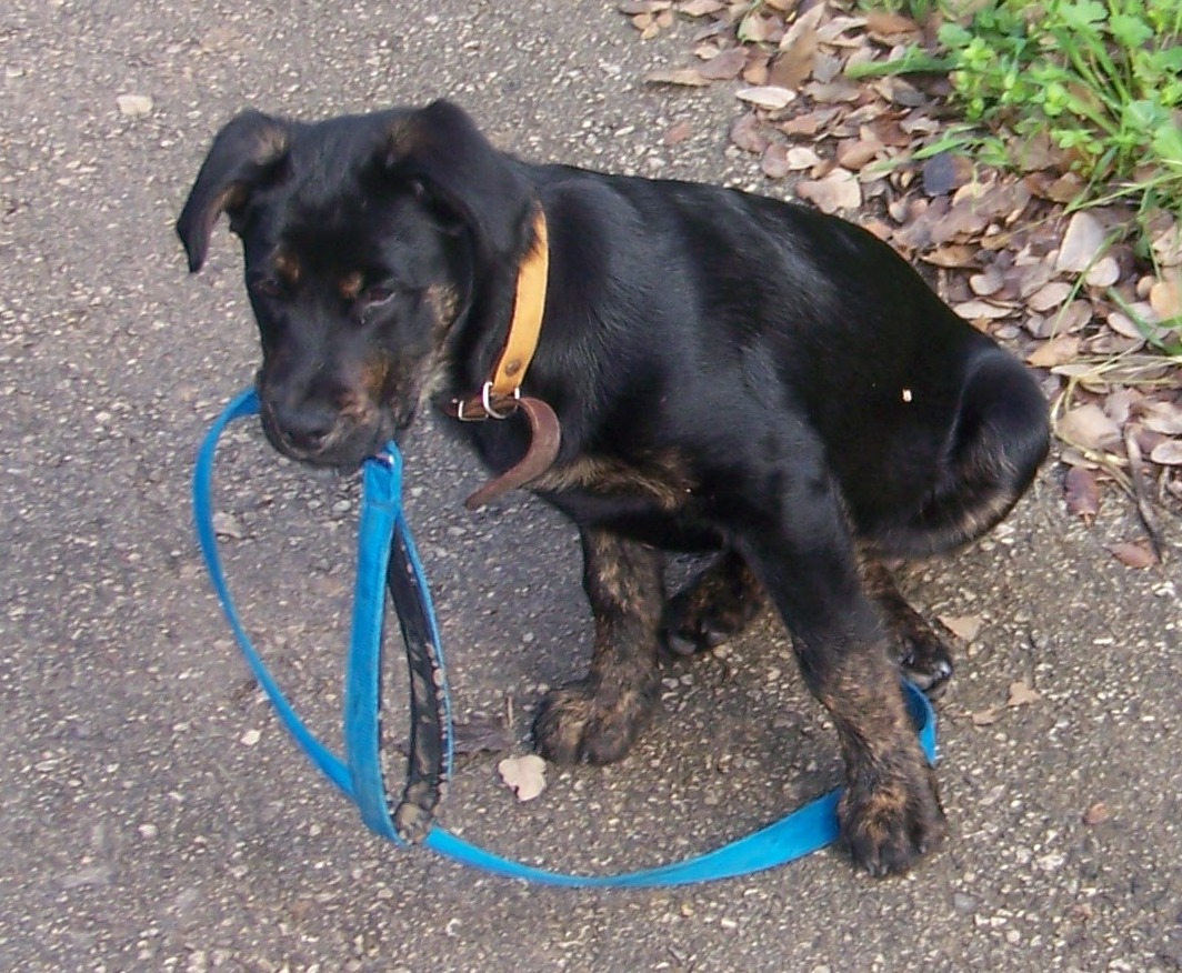 ���� ����� ����� ����