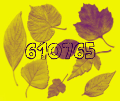 610765