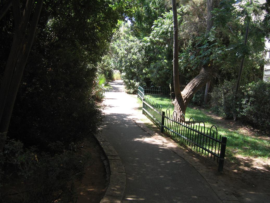 ����� ����� �����