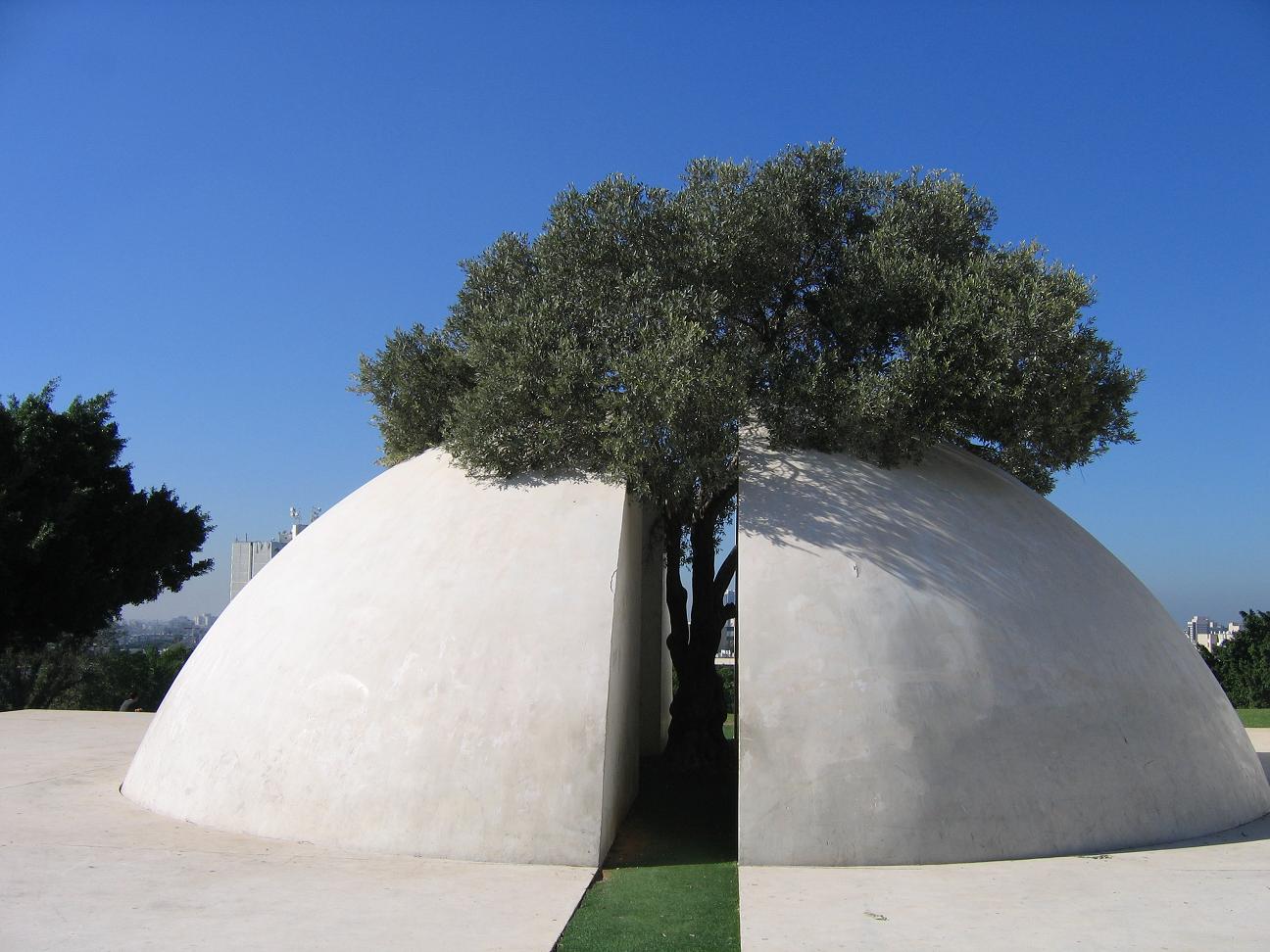 ���-����2