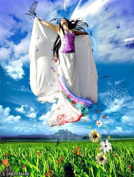 FREEDOM