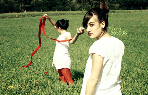 Phoenix Blog- 565908