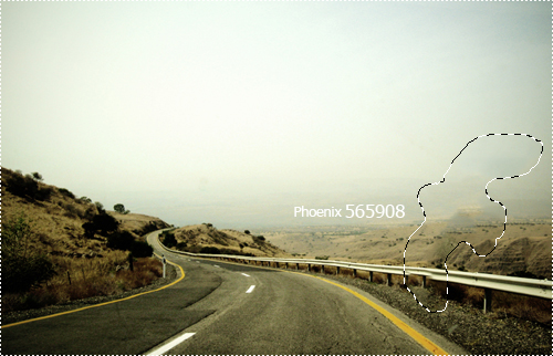 Phoenix Blog- 565908