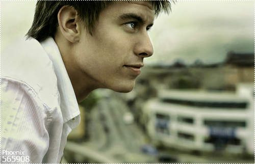 Phoenix Blog- 565908