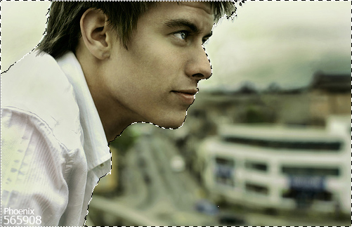 Phoenix Blog- 565908