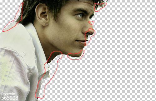 Phoenix Blog- 565908