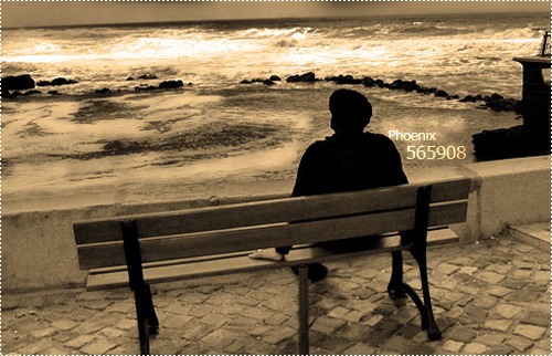 Phoenix Blog- 565908