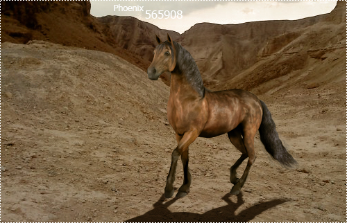 Phoenix Blog- 565908