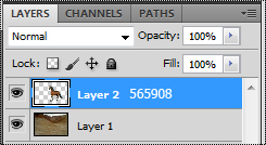 Phoenix Blog- 565908