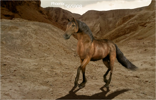 Phoenix Blog- 565908