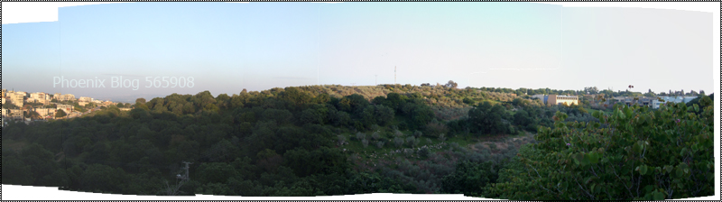 Phoenix Blog- 565908