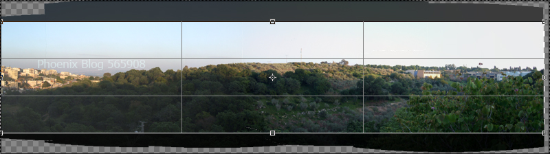 Phoenix Blog- 565908