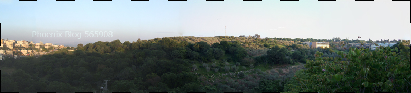 Phoenix Blog- 565908